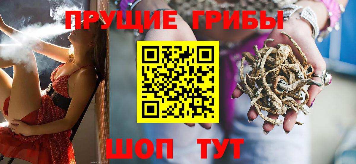 Куйбышев  Псилоцибиновые грибы Magic Shrooms  Вход с VPN 