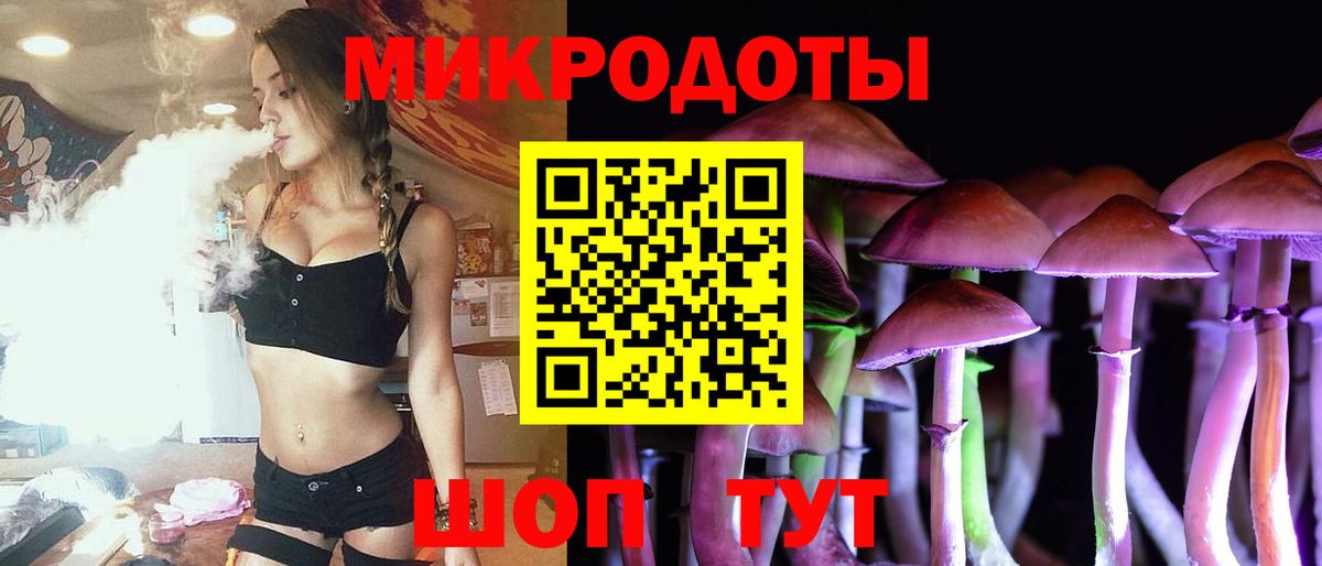 Галлюциногенные грибы Psilocybine cubensis Куйбышев